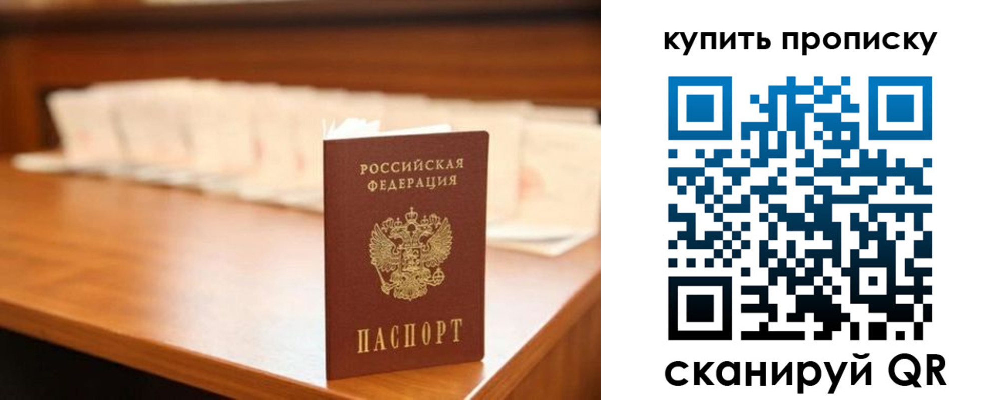 прописка 2025 в Камышине