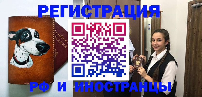 где прописаться в Камышине